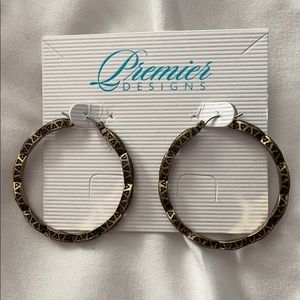 Hoop Earrings by Premier Designs NEW with box